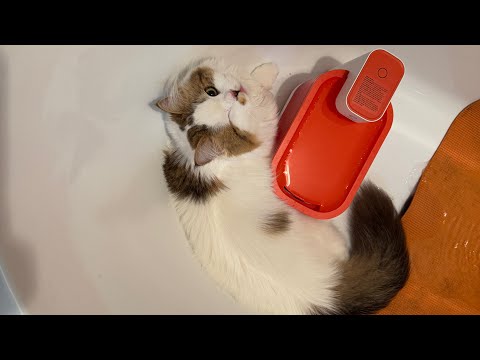 All Done Water: Breaking News From Moody