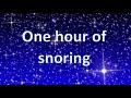SNORING SOUND EFFECT