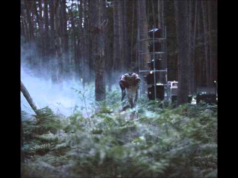 The Black Heart Rebellion - The Woods I Run From
