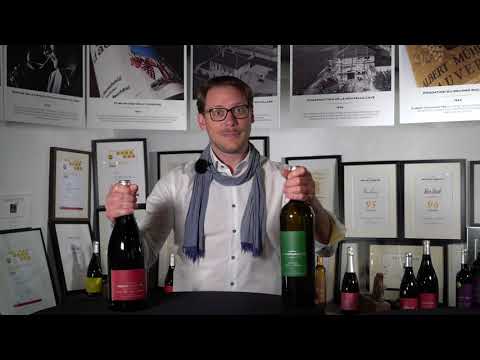 Moins de deux minutes pour tout savoir des actualités du Domaine Bouvet-Jabloir!