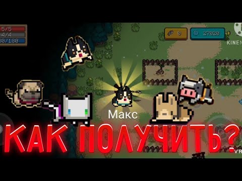 Как получить Секретного Питомца Макс *ОСТАВАЙТЕСЬ С НАМИ* || Soul Knight 2.9.0