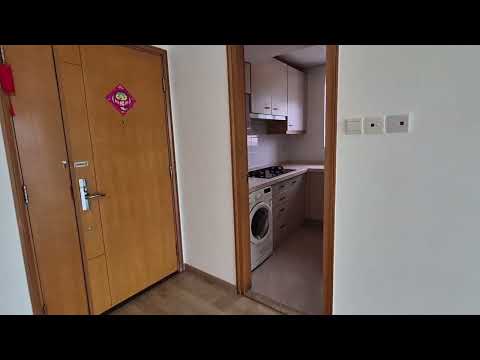 The Bloomsville Youtube Video