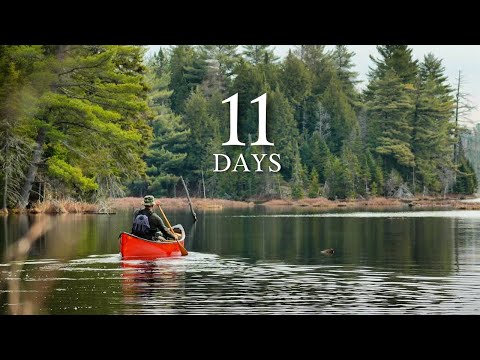 11-Day Solo Wilderness Survival Trip | Low Food, Trout Fishing