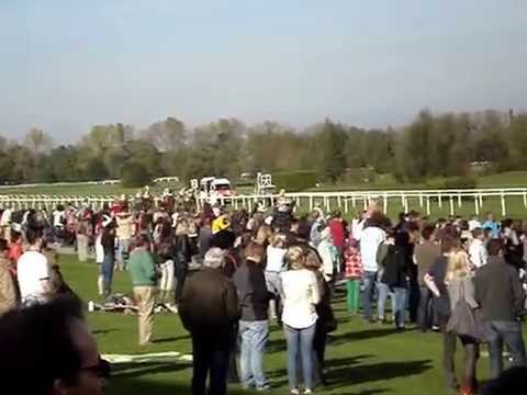 Galopp München 12.10.14 Allano Agl. II