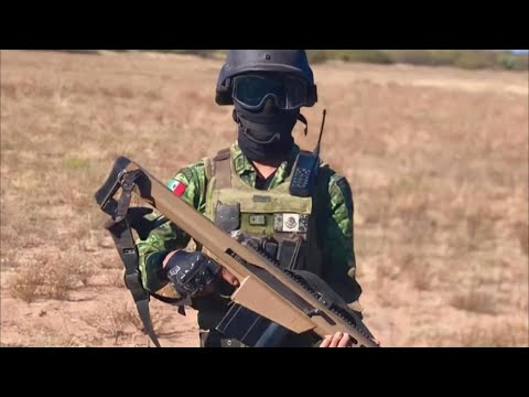 Soy El Nini (El 19) - Canelos Jrs (Video) (Corridos 2023)