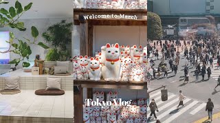 TOKYO VLOG| An average week in my life, remote working in cafes, my job in Japan, Gotokuji temple
