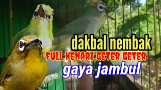 Download lagu pleci Dakbal nembak kenari mp3