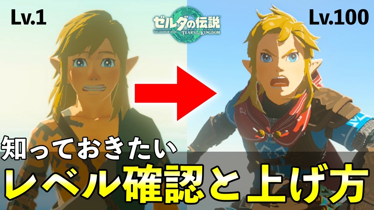 知っておくべき「レベル」確認方法と効率的な上げ方【ゼルダの伝説ティアーズオブザキングダム】