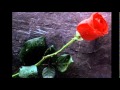 Jer7 Lmadi Wael Jassar Lyrics With English Translation