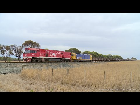 3PM4  Pacific National Steel Train With NR74 "The Ghan" (8/3/2019) - PoathTV Australian Railways