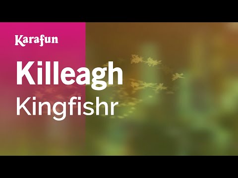 Killeagh - Kingfishr | Karaoke Version | KaraFun