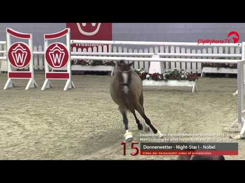 15 Donnerwetter - Night Star - Nobel