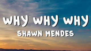 Shawn Mendes - Why Why Why (Lyrics)