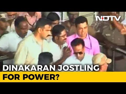 TTV Dinakaran Puts Off Showdown With AIADMK Leaders, To Go On State Tour