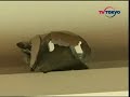 Camera Crew Captures Quake Terror at Chengdu Airport