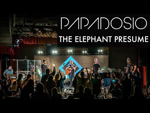 Papadosio - The Elephant I Presume (Acoustic) [Live at City Winery in Atlanta, GA]