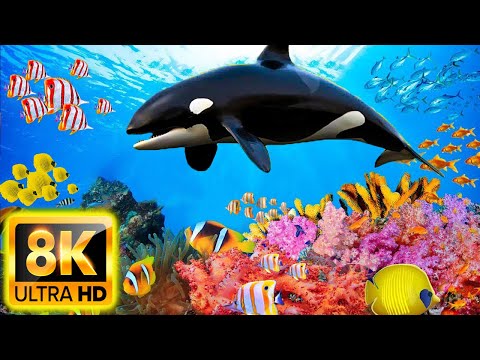 The Ocean 8K VIDEO ULTRA HD - Beautiful Coral Reef Fish 🐠 Relax Music & Meditation Music - Video 8K