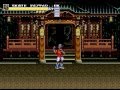Streets Of Rage 3 Stage 4 Hard No Damage With Skate