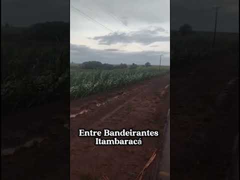 Chuva e vento forte entre Bandeirantes e Itambaracá Pr