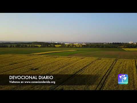 Devocional diario - 2020-11-07 - Libre de condenación. Parte 1