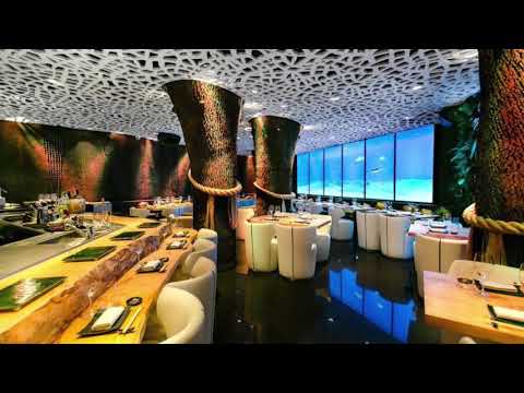 Vídeo Silence Electroacustica 1