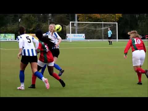 DSS VR2 - IJFC VR1 2-0