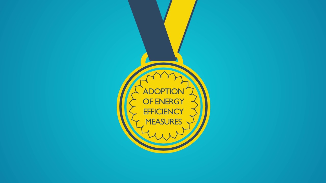 Industrial Energy Efficiency Accelerator