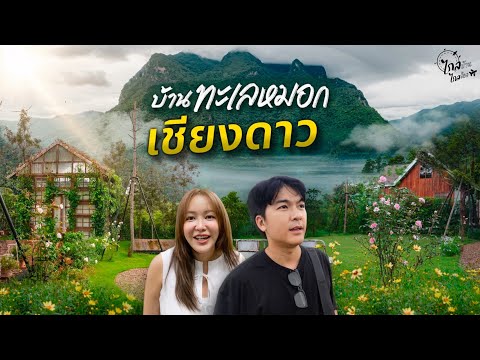 Video thumbnail for เที่ยวเชียงใหม่ บ้านทะเลหมอกหน้าฝน วิว1ในเขาสูงสุดในไทย ดอยหลวงเชียงดาว | IceBank Diary