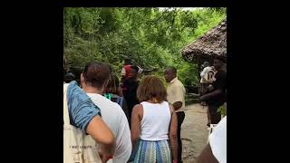 Dolphin watching/snorkeling and swimming with turtles |Meet up in Zanzibar | BaldGirlWillTravel