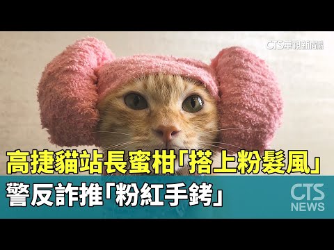 萌！　高捷貓站長蜜柑「搭上粉髮風」　警反詐推「粉紅手銬」