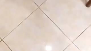 Download lagu Story Wa TNI menyejukkan hati mp3