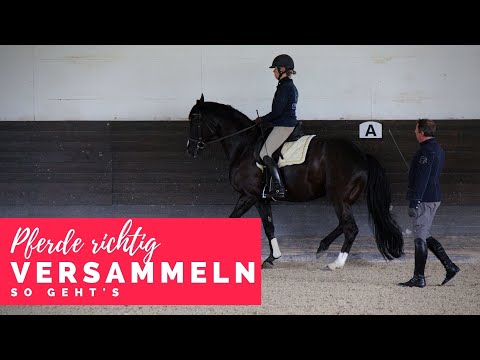 Besser reiten mit Christoph Ackermann | Pferde richtig versammeln