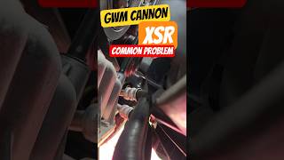 Download lagu GWM Cannon XSR Common Fault. Please get yourself checked out or check it yourself #gwm #cannon mp3