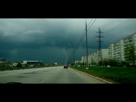 У нас  гроза!Новая игрушка для хорьков!