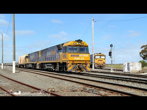 5MP2 Pacific National InfraBuild / Liberty Steel Train With NR36 & NR83 (2/11/2023) - PoathTV
