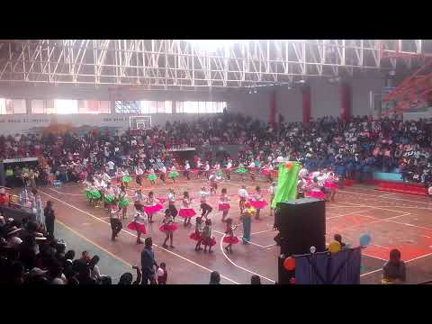 Tarkada Amistad Selva Alegre - Puno 2020