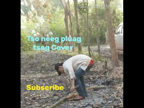 Tso neeg pluag tseg 25/3/2020