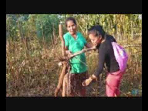 SABANAS DE CUNAVICHE = EL CARRAO DE PALMARITO   CANTANTE