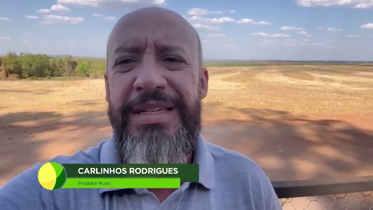 Preparação do solo é essencial antes do plantio da nova safra de soja