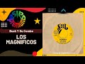 🔥LOS MAGNIFICOS por BUSH Y SU COMBO LOS MAGNIFICOS - Salsa Premium