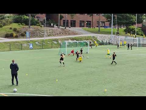 Hercules T15 - Ilves