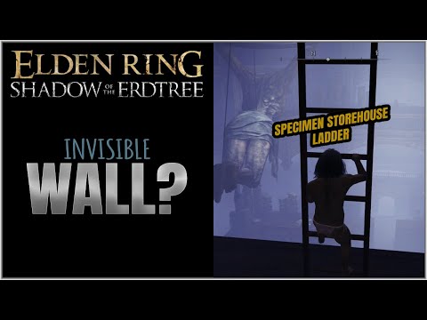 Elden Ring | Specimen Storehouse ladder has an invisible wall
