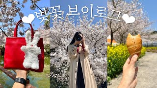 A Cherry Blossom Maniac's V-log | Living Alone in Jeju Island | Pasta Chip | Salt Bread | Baking