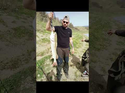 e si ricomincia più forte di prima le nostre prime catture 2023