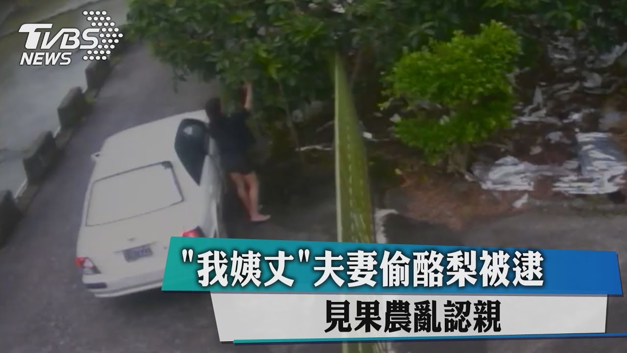 夫妻偷酪梨被逮 見果農亂認親:我姨丈