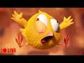 LIVE CARTOON WHERE S CHICKY Desenho Animado Em Português Live Stream