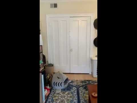 2200-06 W. Foster / 5200-08 N. Leavitt - Video 6 of 6