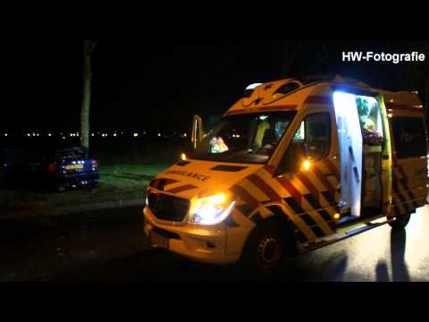 Automobilist botst tegen boom op Hasselterweg