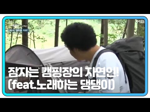 잠자는 캠핑장의 자연인! (feat.노래하는 댕댕이) MBN 200902 방송