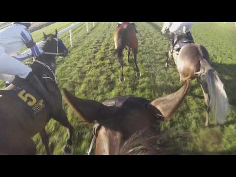 Jockeycam Fegentri-race Bro Park (Sweden) 04/07/2017